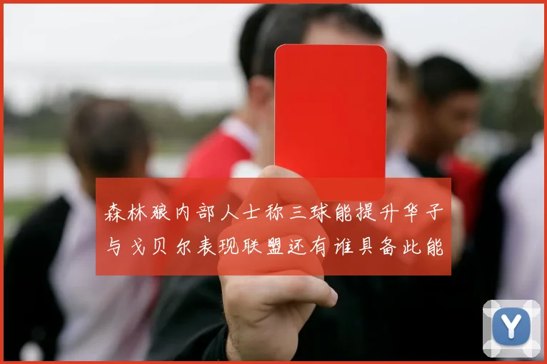 森林狼内部人士称三球能提升华子与戈贝尔表现联盟还有谁具备此能力
