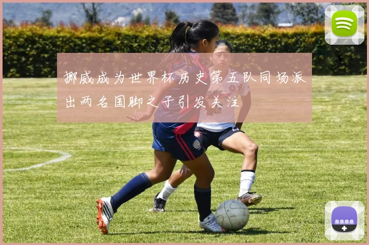 挪威成为世界杯历史第五队同场派出两名国脚之子引发关注